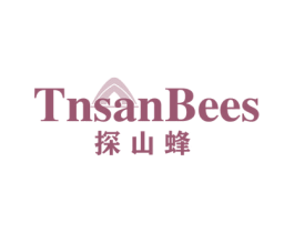 TNSANBEES 探山蜂 第25类服装鞋帽商标转让 注册号78117704