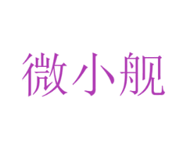 微小舰