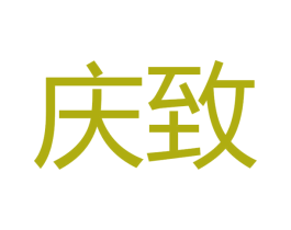 庆致 第10类医疗器械商标转让 注册号48641551