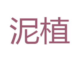 泥植 第30类小食配料商标转让 注册号41987707