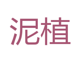 泥植 第29类食品商标转让 注册号41988493