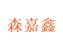 森嘉鑫
