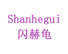 闪赫龟
