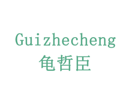 GUIZHECHENG 龟哲臣 第10类医疗器械商标转让 注册号78529849