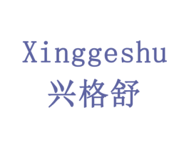 兴格舒 第10类医疗器械商标转让 注册号78543091