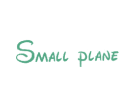 SMALL PLANE 第25类服装鞋帽商标转让 注册号22588815
