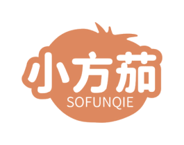 小方茄 SOFUNQIE 第09类科学仪器商标转让 注册号77522937