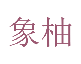 象柚 第03类化妆品商标转让 注册号45682898