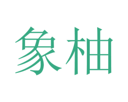 象柚 第20类家具商标转让 注册号45676890