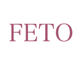 FETO 第25类服装鞋帽商标转让 注册号35273431