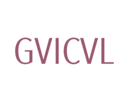 GVICVL 第25类服装鞋帽商标转让 注册号78325463