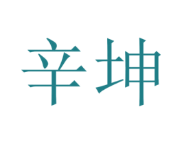 辛坤 第25类服装鞋帽商标转让 注册号42041993