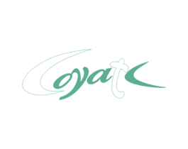 COYATC 第25类服装鞋帽商标转让 注册号54715807