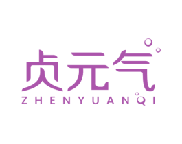 贞元气