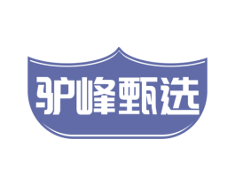 驴峰甄选