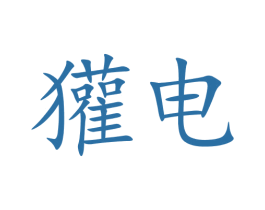 獾电