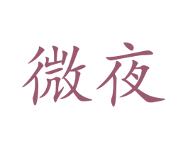 微夜 第05类医药商标转让 注册号72800250