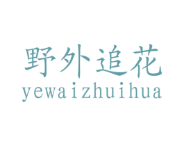 野外追花 第30类小食配料商标转让 注册号13373010