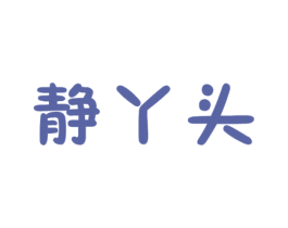 静丫头