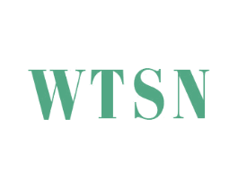 WTSN 第25类服装鞋帽商标转让 注册号44265475