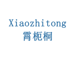 霄枙桐 XIAOZHITONG 第03类化妆品商标转让 注册号77924541