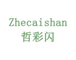 哲彩闪 第09类科学仪器商标转让 注册号77940289