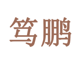笃鹏 第09类科学仪器商标转让 注册号77923765