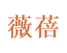 薇蓓 第10类医疗器械商标转让 注册号48607918