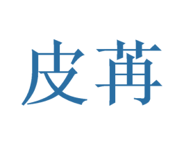 皮苒 第10类医疗器械商标转让 注册号48606280