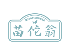 苗佗翁 第30类小食配料商标转让 注册号78149964