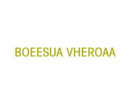 BOEESUA VHEROAA 第25类服装鞋帽商标转让 注册号77740061
