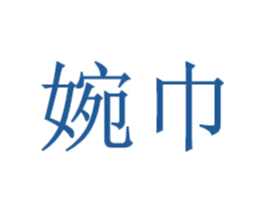 婉巾 第18类皮革箱包商标转让 注册号42013574