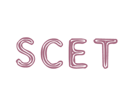 SCET 第25类服装鞋帽商标转让 注册号29614791