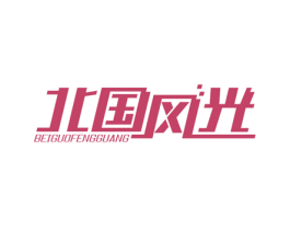 北国风光 第09类科学仪器商标转让 注册号27576805