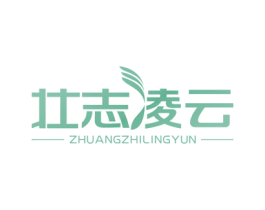 壮志凌云 第10类医疗器械商标转让 注册号27584511