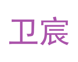 卫宸 第25类服装鞋帽商标转让 注册号53092734