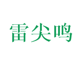 雷尖鸣 第25类服装鞋帽商标转让 注册号42972036