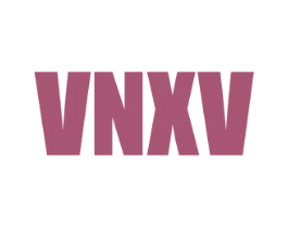 VNXV 第25类服装鞋帽商标转让 注册号77716001