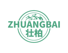 壮柏 第05类医药商标转让 注册号74676589