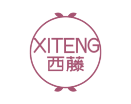 西藤 第25类服装鞋帽商标转让 注册号74667648