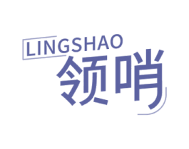 领哨 第09类科学仪器商标转让 注册号77750704