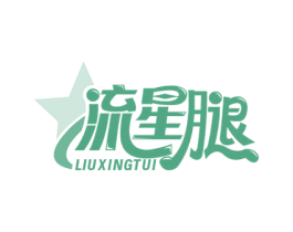 流星腿 第09类科学仪器商标转让 注册号74365453