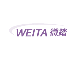微踏 第25类服装鞋帽商标转让 注册号77653211