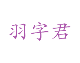 羽字君
