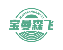 宝曼森飞