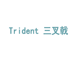 三叉戟 TRIDENT 第10类医疗器械商标转让 注册号16085483