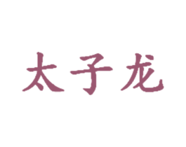 太子龙 第07类机械设备商标转让 注册号42890130