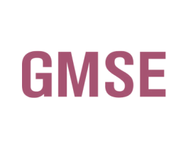 GMSE