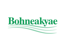 BOHNEAKYAE 第25类服装鞋帽商标转让 注册号72355444