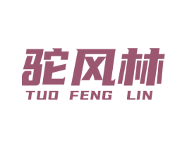 驼风林 第25类服装鞋帽商标转让 注册号77634646